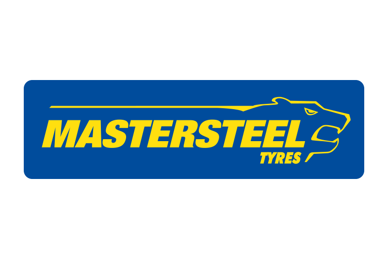 MASTERSTEEL logo